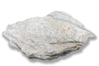 M 02143
<br/>
<br/>
<em></em>